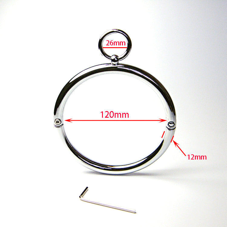 Stainless Steel Allen Key Locking Bondage Collar - Sexy Bee UK