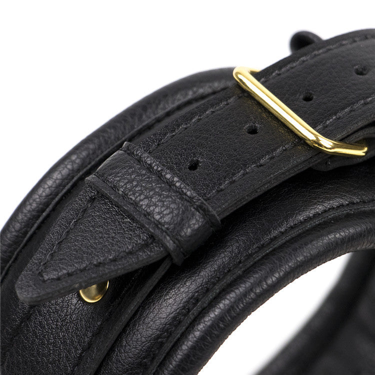 Black Faux Leather Gold Toned Collar and Lead - Sexy Bee UK