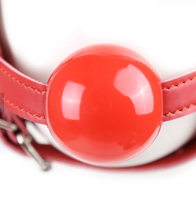 BDSM Blindfold and Gag Face Harness - Sexy Bee UK