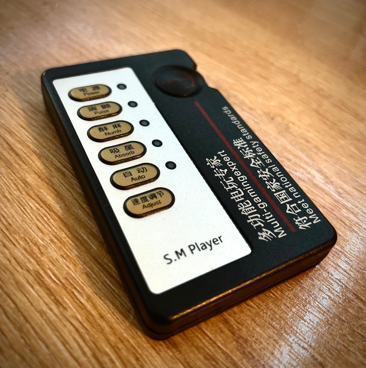 Electric Shock Chastity Cage