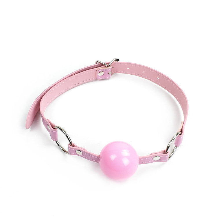 Pretty Pink Plastic Ball Gag - Sexy Bee UK