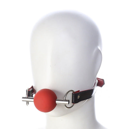 Silicone Ball Gag and Bit