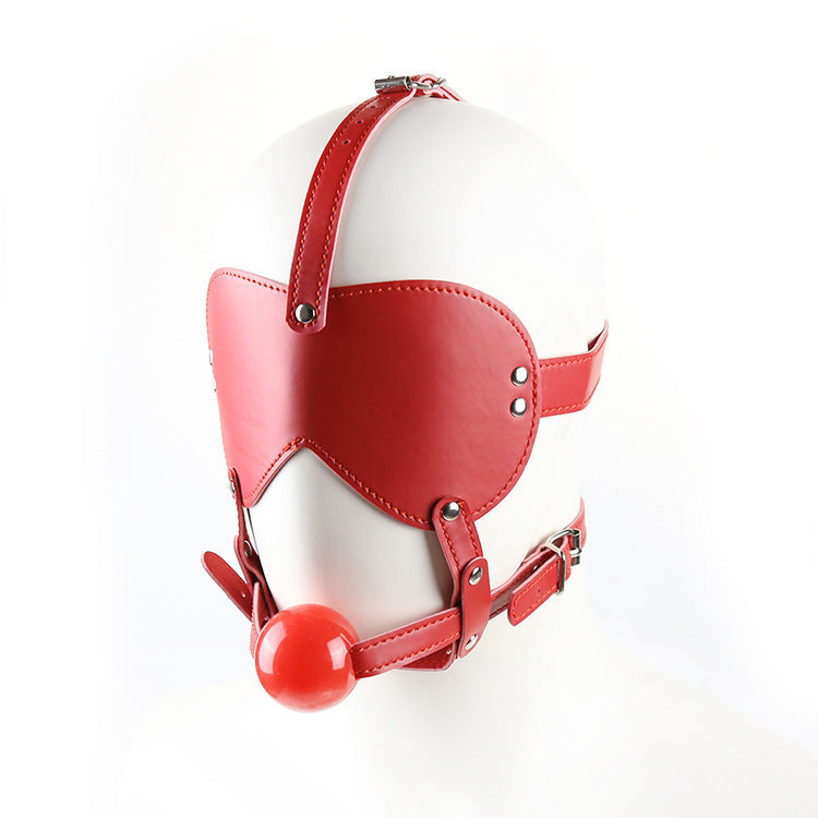 BDSM Blindfold and Gag Face Harness