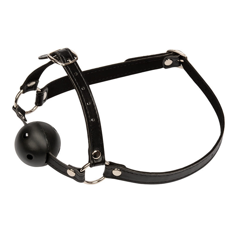 Faux Leather Head Harness with a Vented Ball Gag