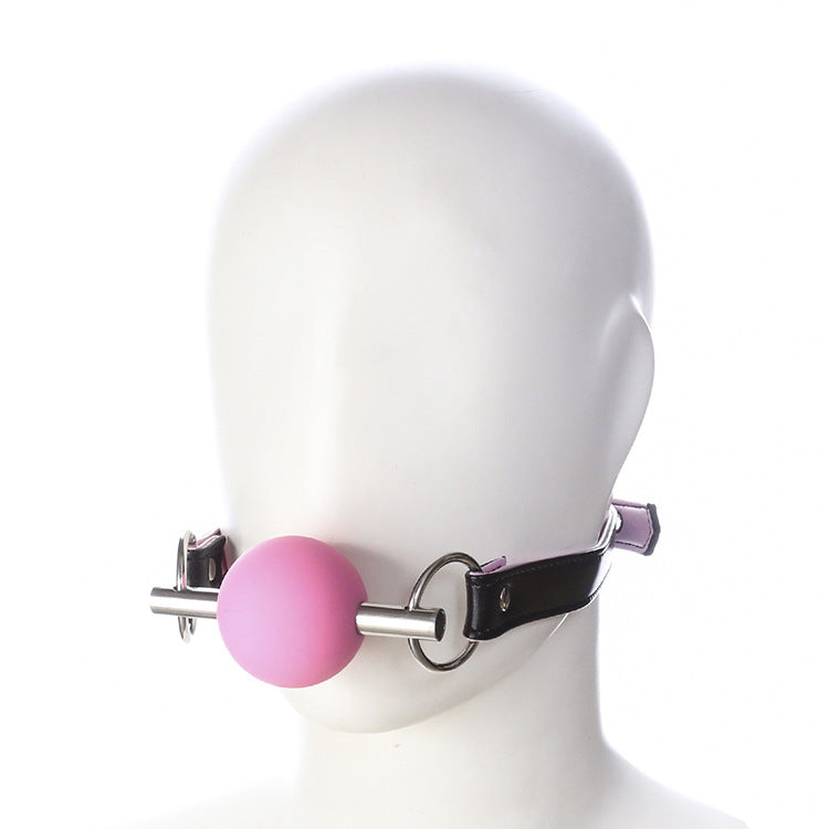 Silicone Ball Gag and Bit - Sexy Bee UK