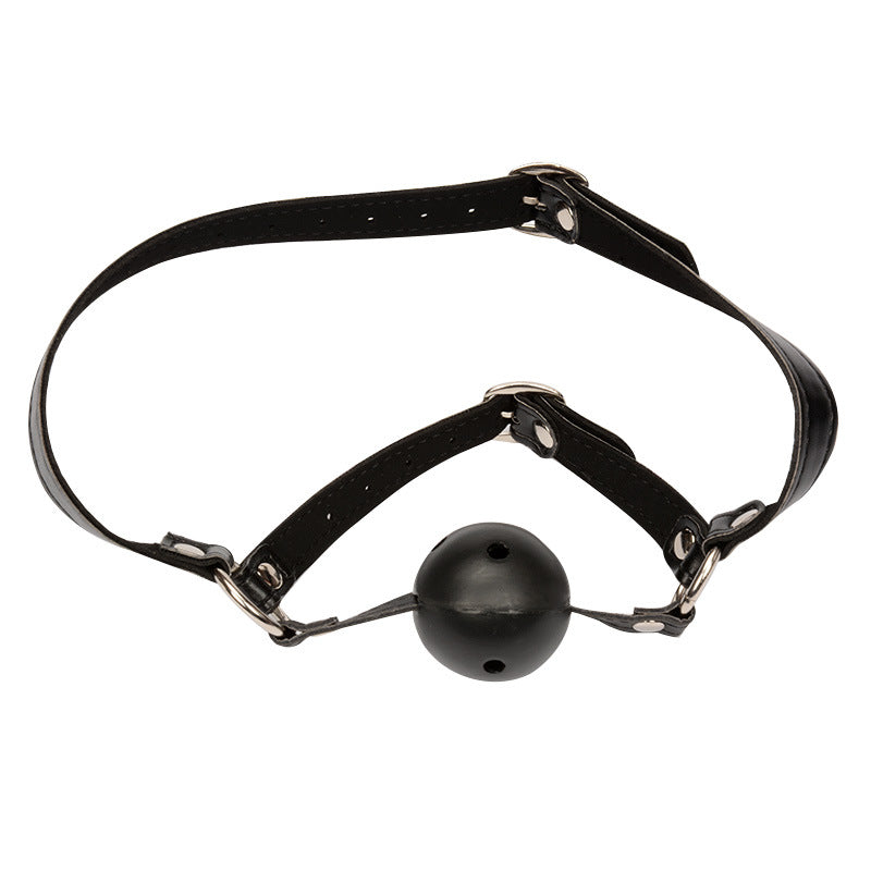 Faux Leather Head Harness with a Vented Ball Gag