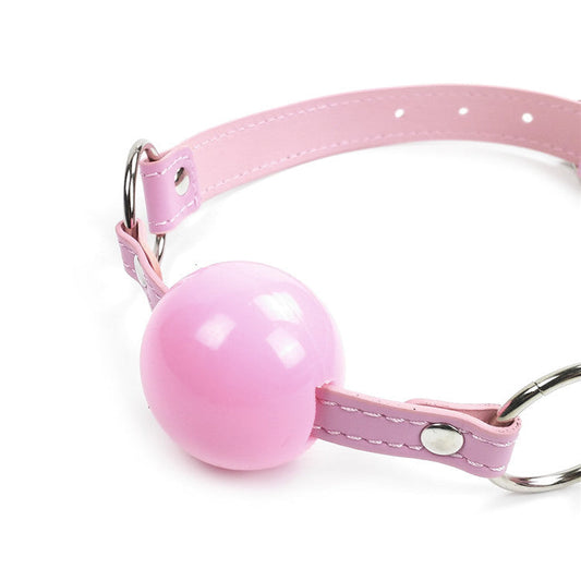 Pretty Pink Plastic Ball Gag