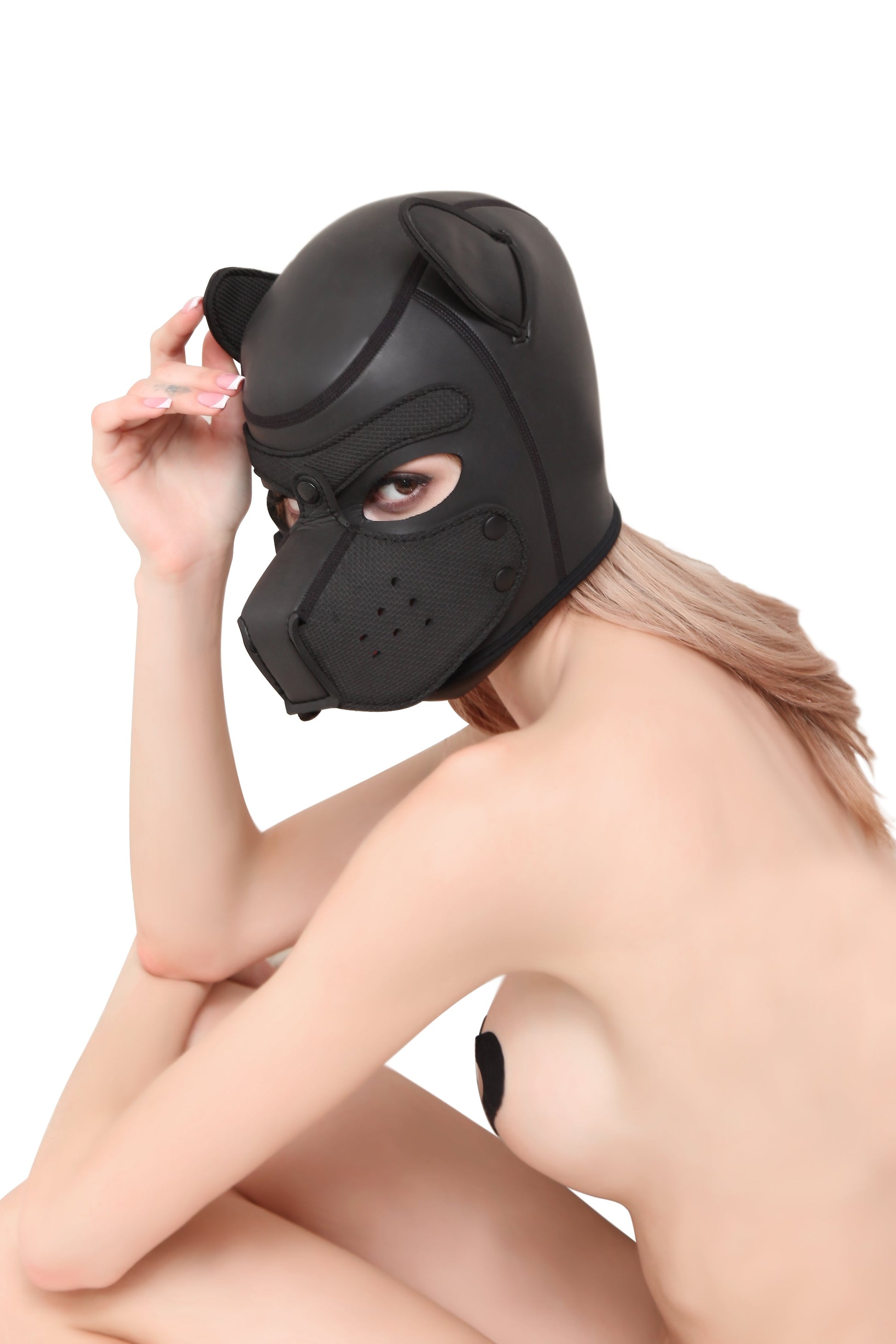 The K9 BDSM/ Fetish Dog Mask - Sexy Bee UK