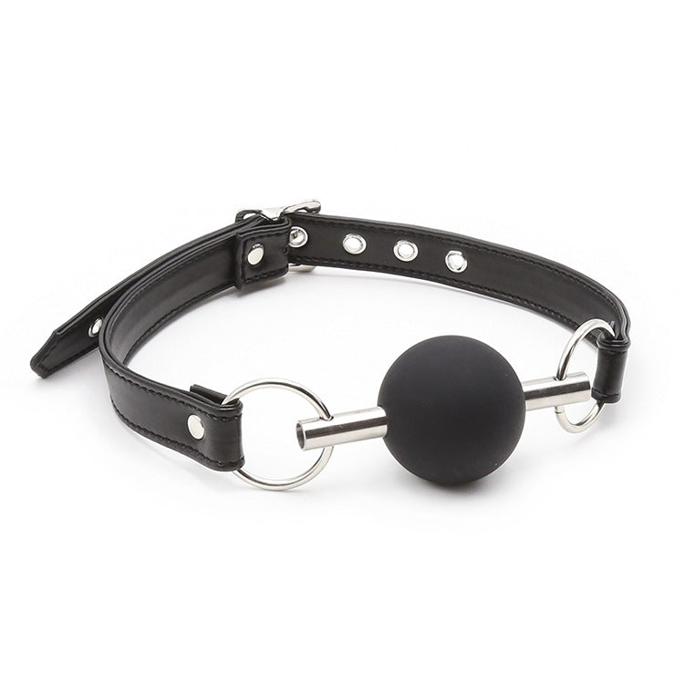 Silicone Ball Gag and Bit - Sexy Bee UK