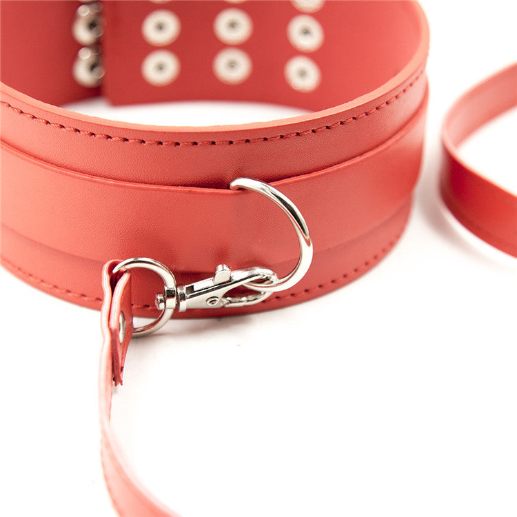 Faux Leather Collar and Loop Lead