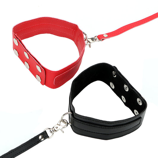 Flat Section Faux Leather Collar and Lead