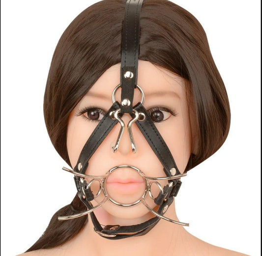 Leather Face Harness and Anal Kit